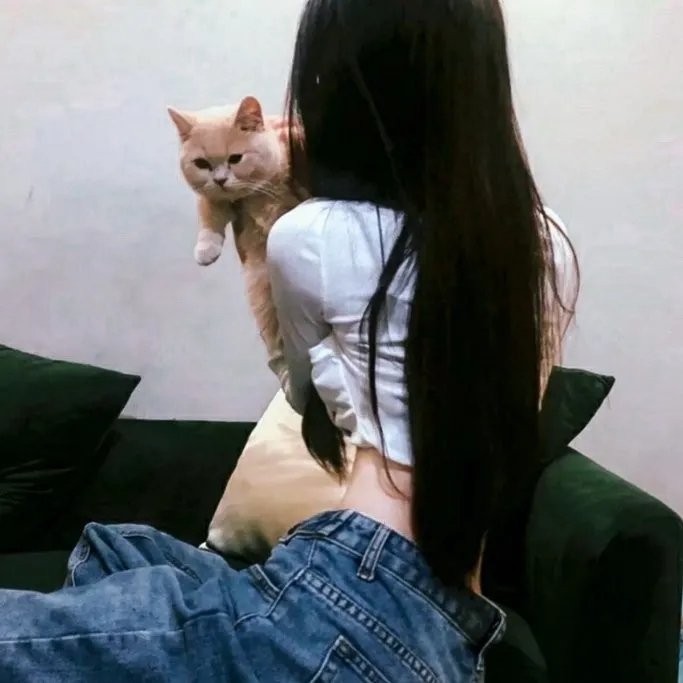 记账人 在线观看