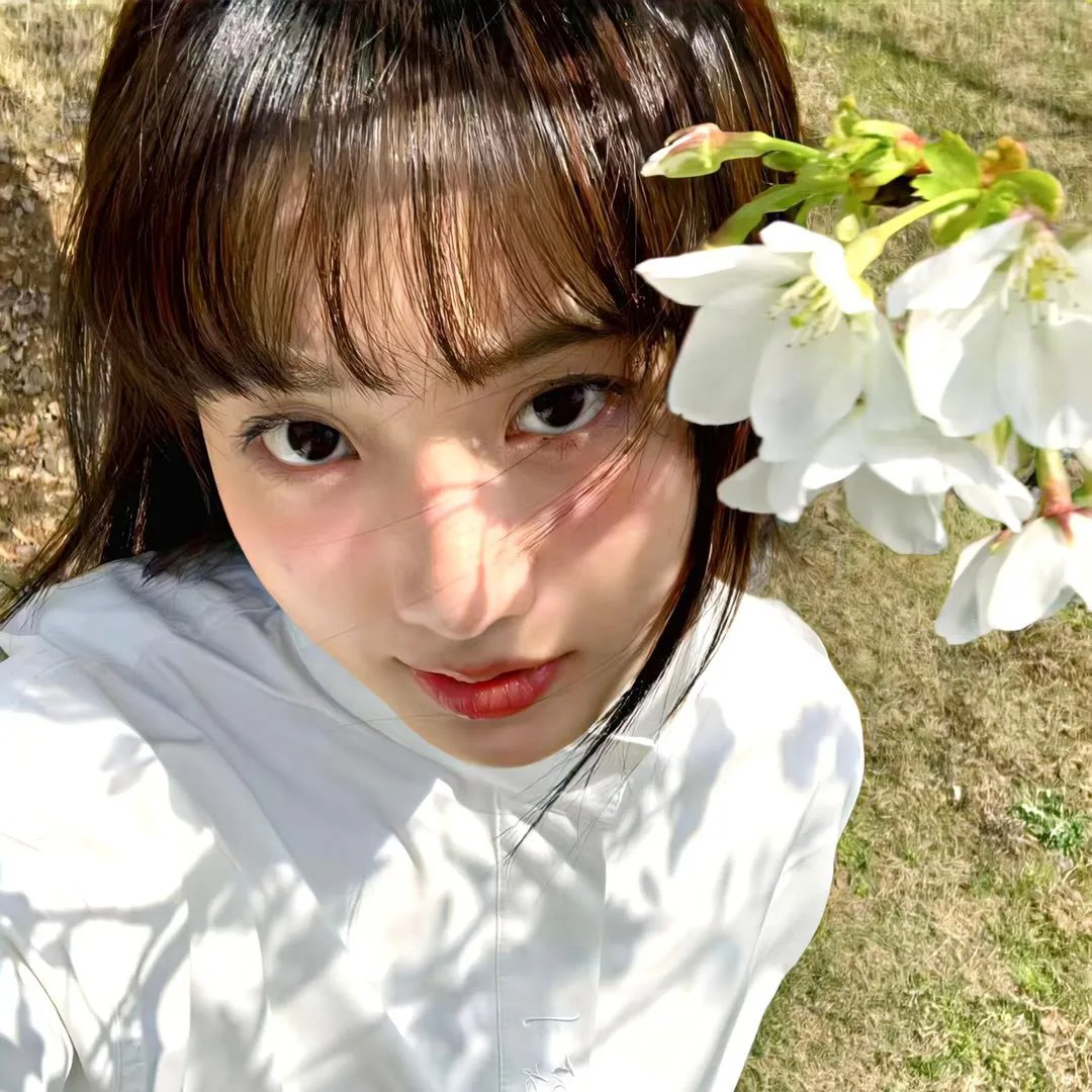 大雄的大魔境 在线观看